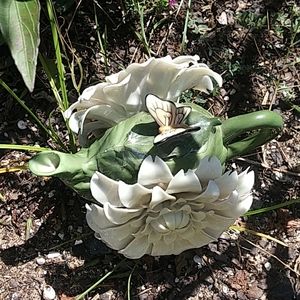 A Cosmo's "White Dahlia/Yellow Butterfly Ceramic Teapot /Ivy green"made in China